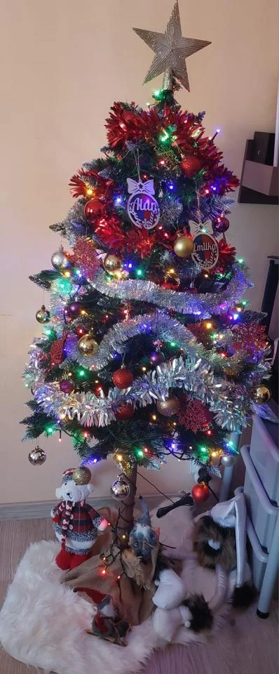 Bożonarodzeniowe drzewka naszych czytelników 65