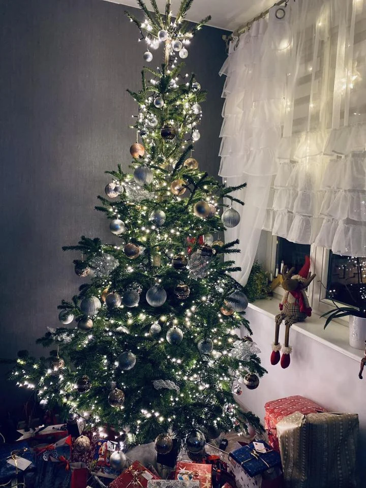 Bożonarodzeniowe drzewka naszych czytelników 73