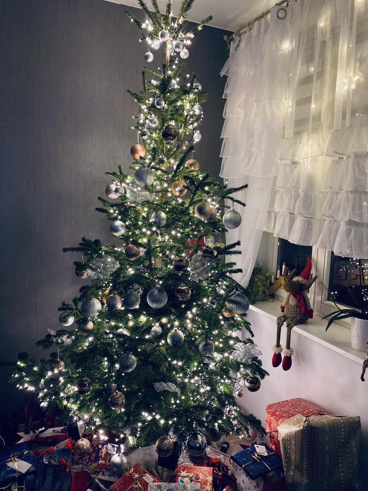 Bożonarodzeniowe drzewka naszych czytelników 73