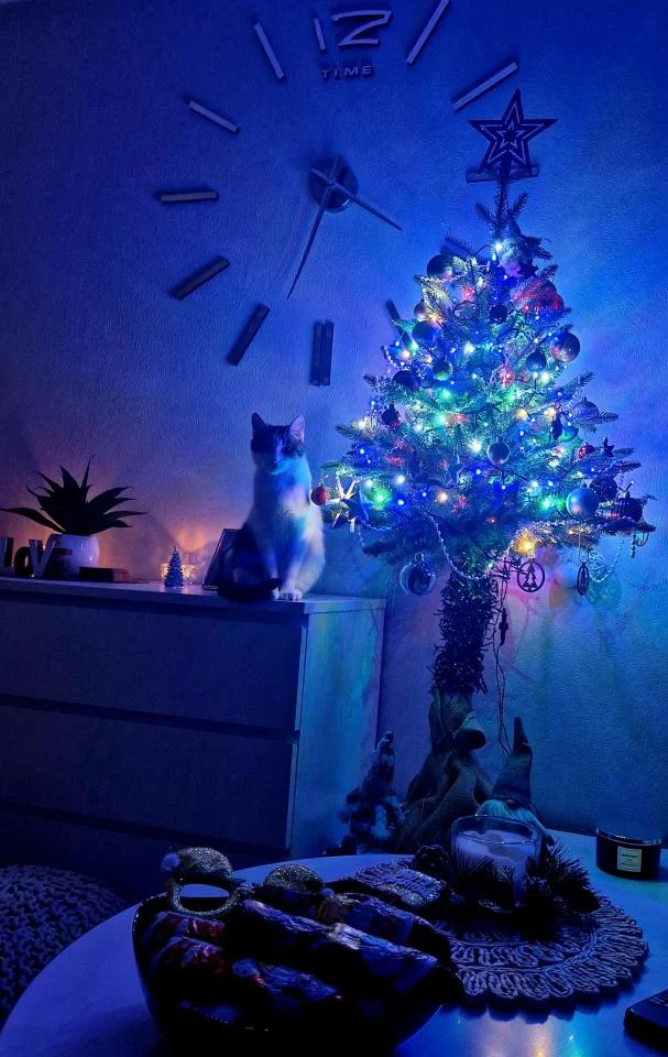 Bożonarodzeniowe drzewka naszych czytelników 76