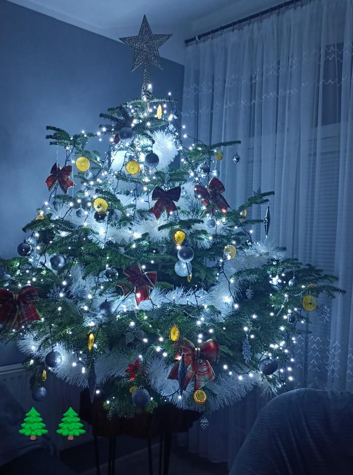 Bożonarodzeniowe drzewka naszych czytelników 80