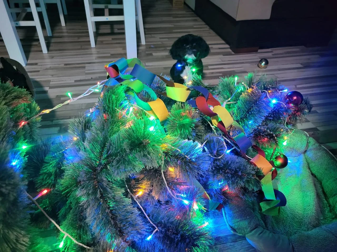 Bożonarodzeniowe drzewka naszych czytelników 81