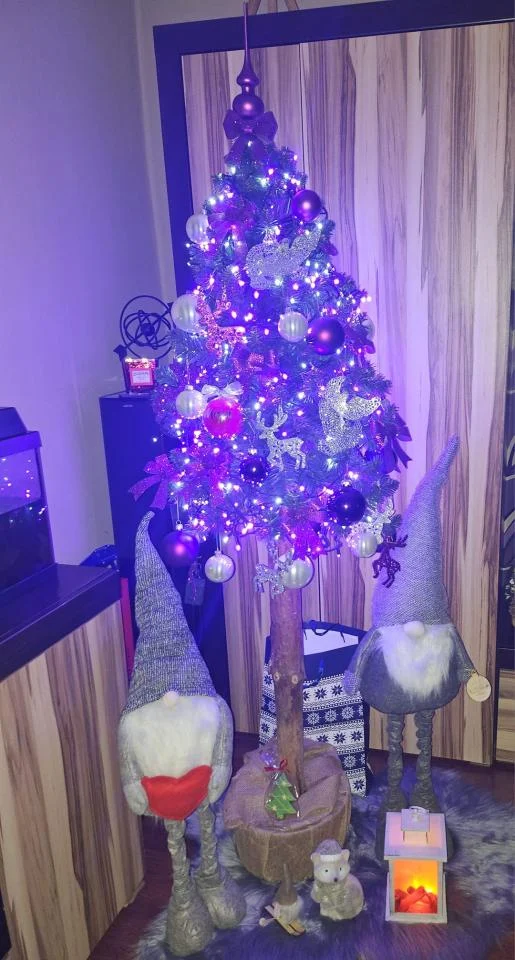 Bożonarodzeniowe drzewka naszych czytelników 83