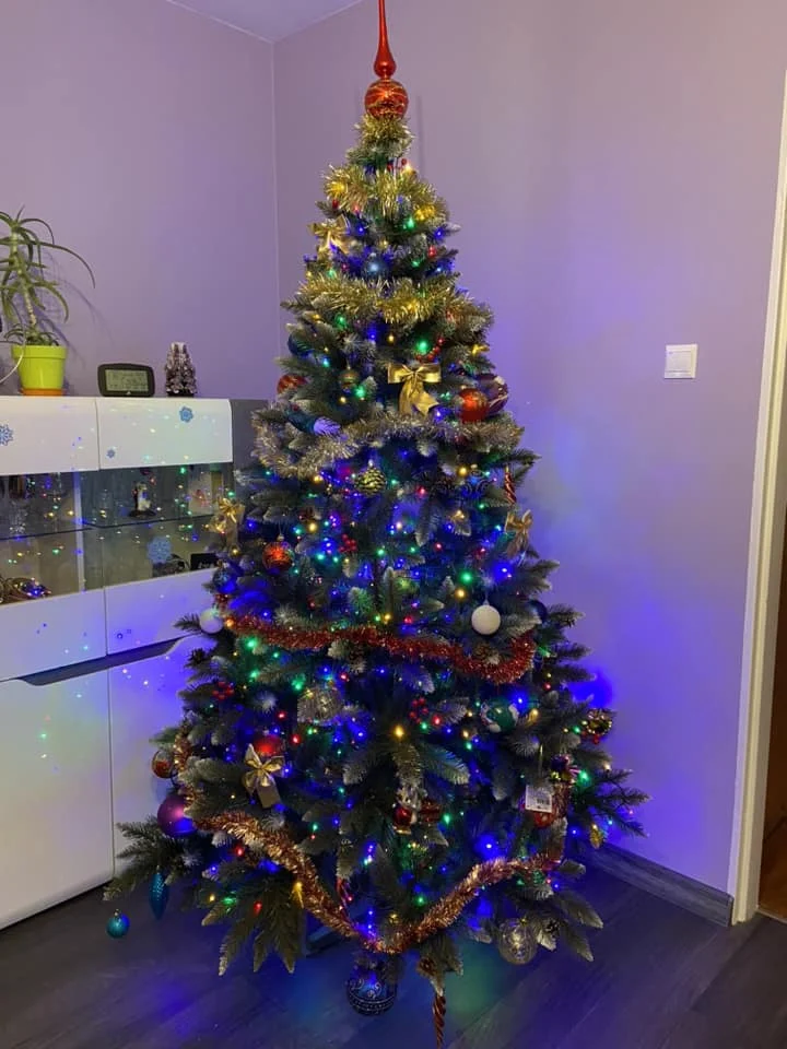 Bożonarodzeniowe drzewka naszych czytelników 84