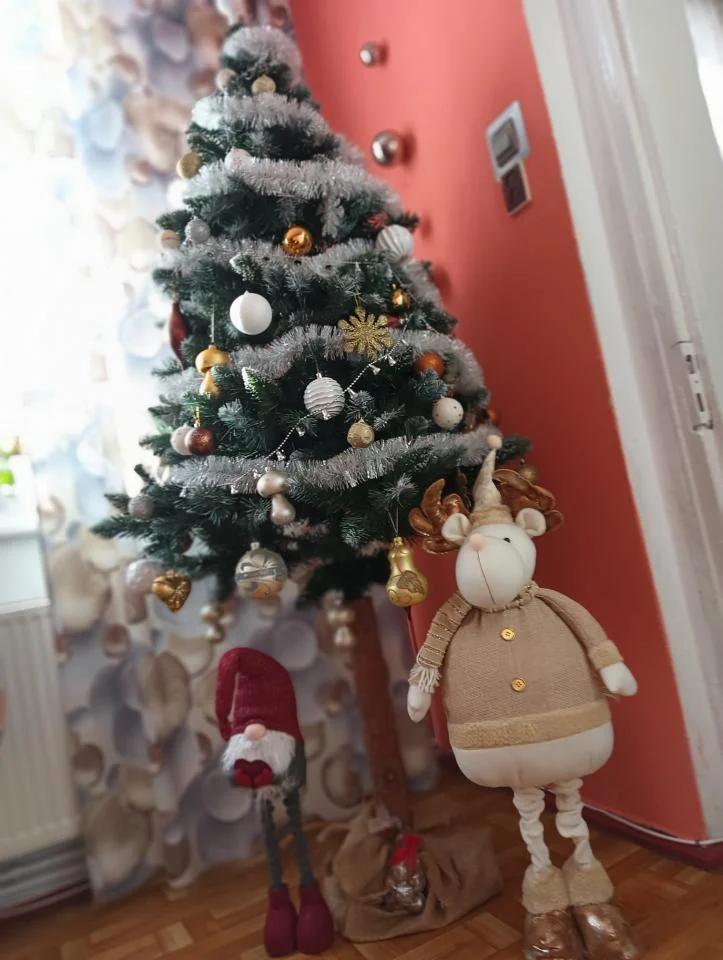 Bożonarodzeniowe drzewka naszych czytelników 87