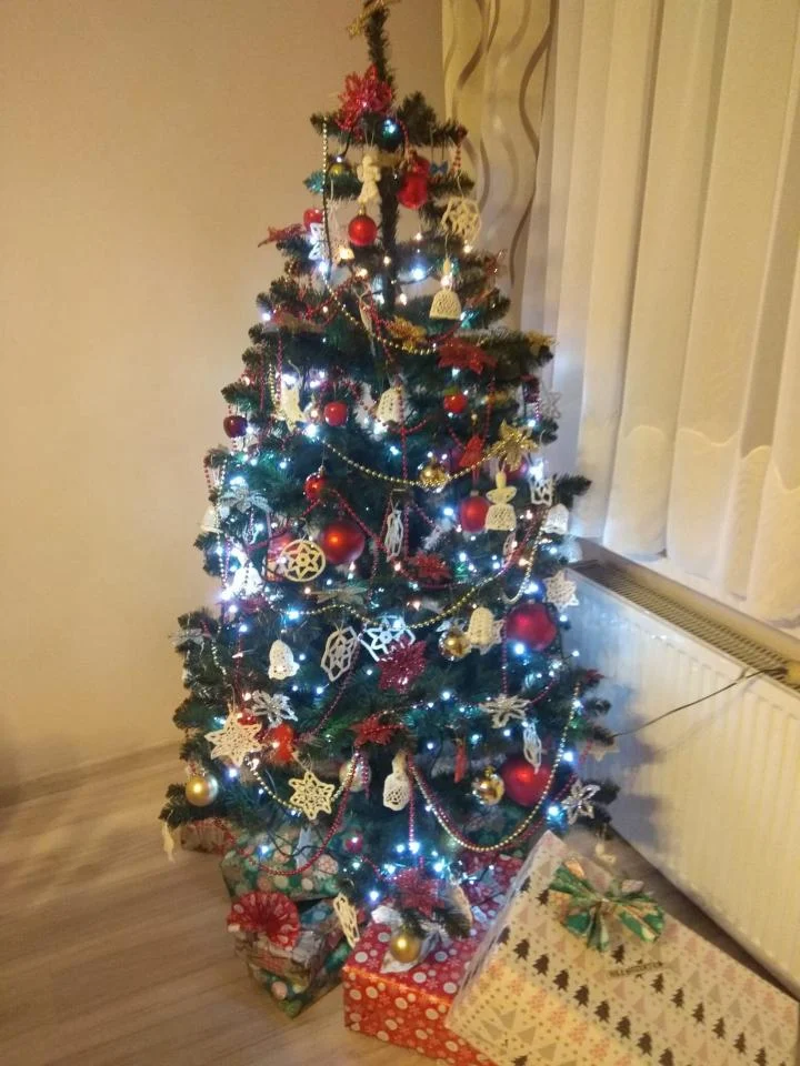 Bożonarodzeniowe drzewka naszych czytelników 89