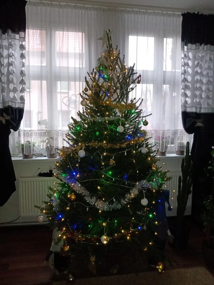 Bożonarodzeniowe drzewka naszych czytelników 91