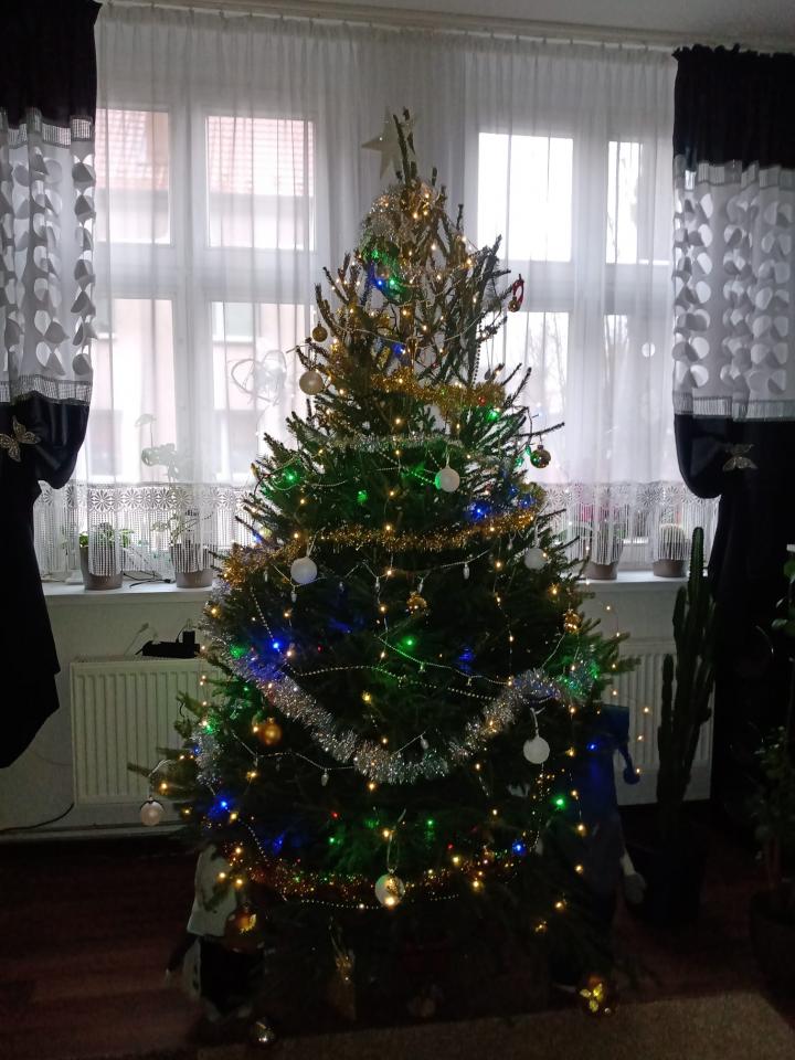 Bożonarodzeniowe drzewka naszych czytelników 91