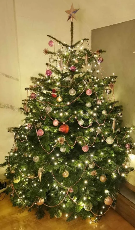 Bożonarodzeniowe drzewka naszych czytelników 92