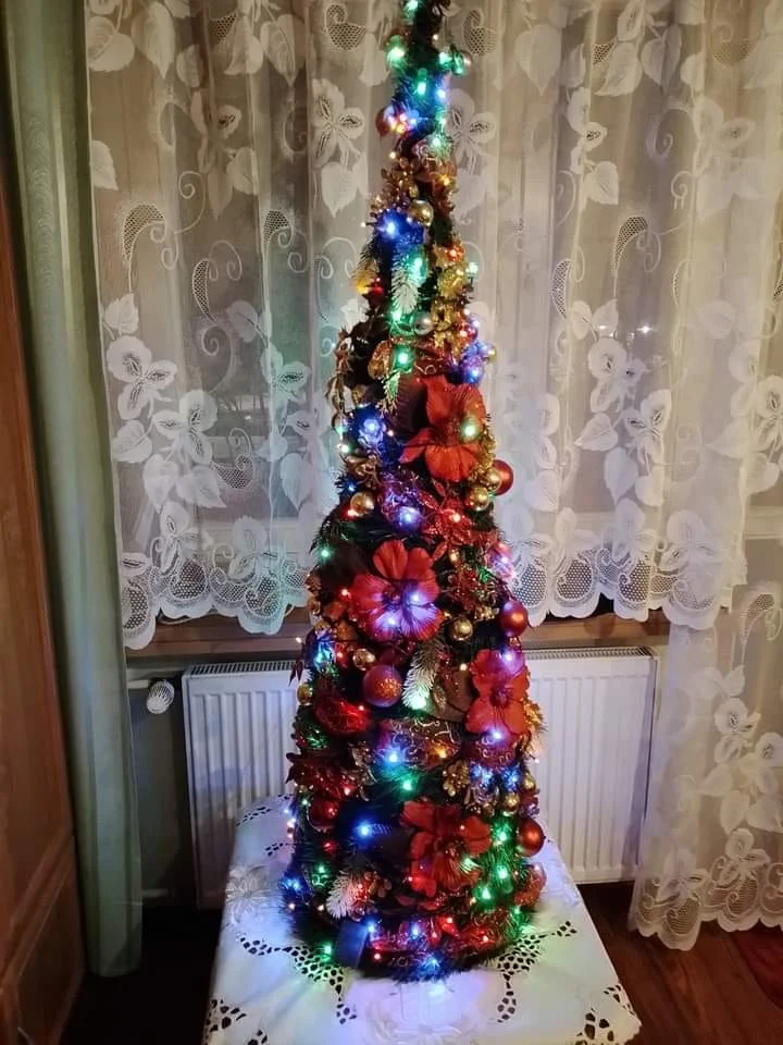 Bożonarodzeniowe drzewka naszych czytelników 93