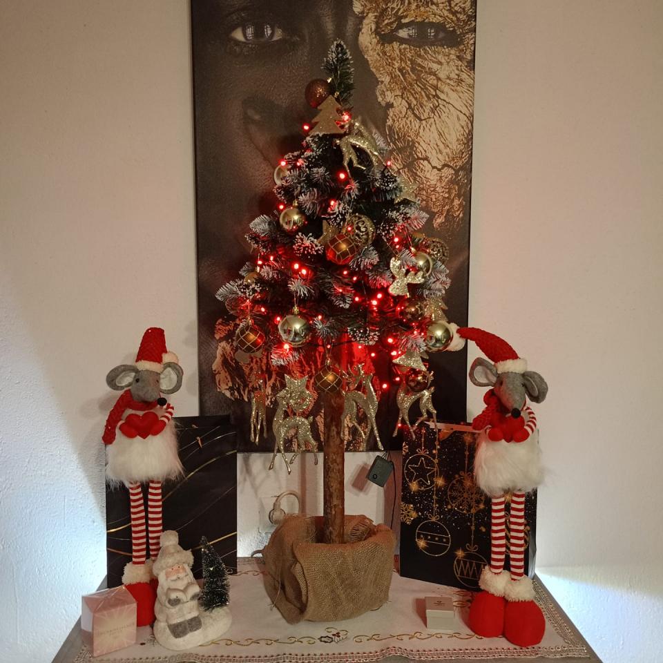 Bożonarodzeniowe drzewka naszych czytelników 94