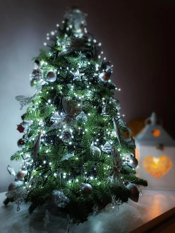 Bożonarodzeniowe drzewka naszych czytelników 97