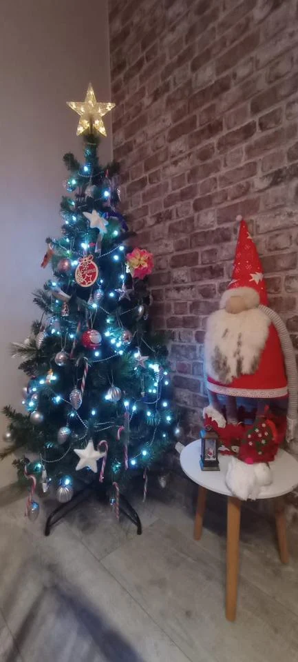 Bożonarodzeniowe drzewka naszych czytelników 98