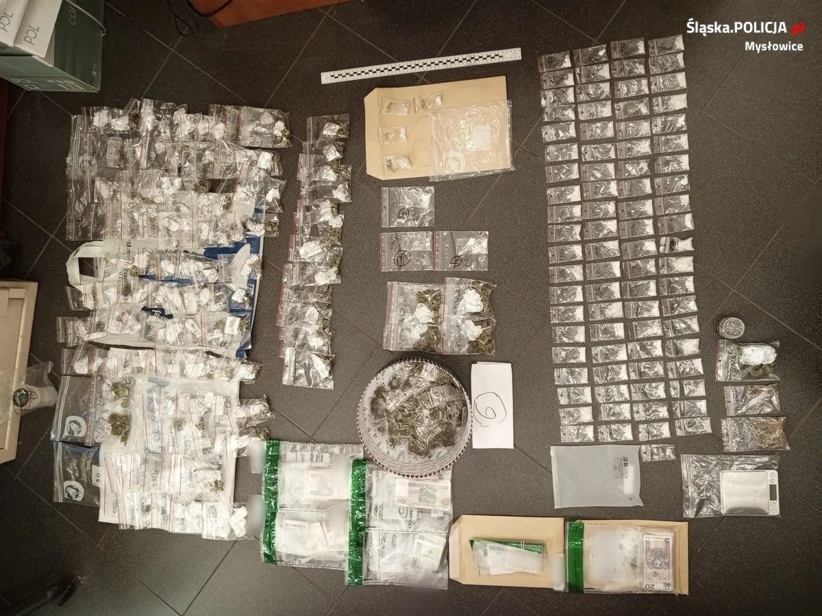1150 działek marihuany w Mysłowicach. 23-latek został aresztowany!