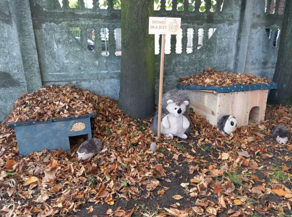 Przedszkolaki i uczniowie z kilku rybnickich placówek budowali domki dla jeży