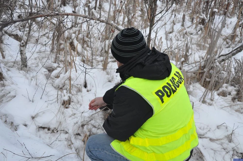 Zastawił wnyki, sarna umierała w męczarniach