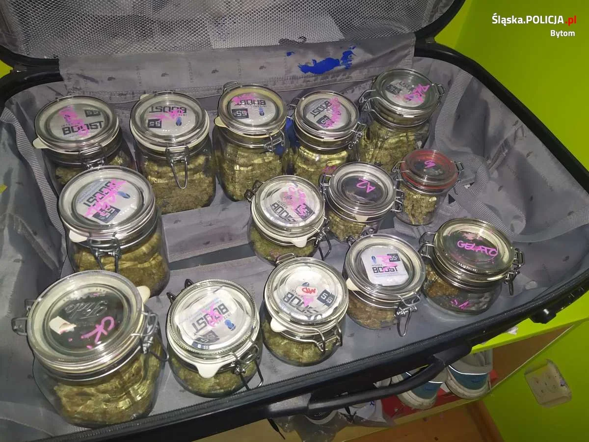 Bytom: Siedem osób zatrzymanych za narkotyki!