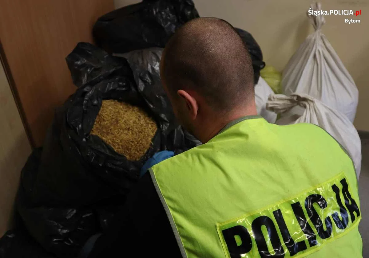 Bytom: "Lewy" tytoń w rękach mundurowych