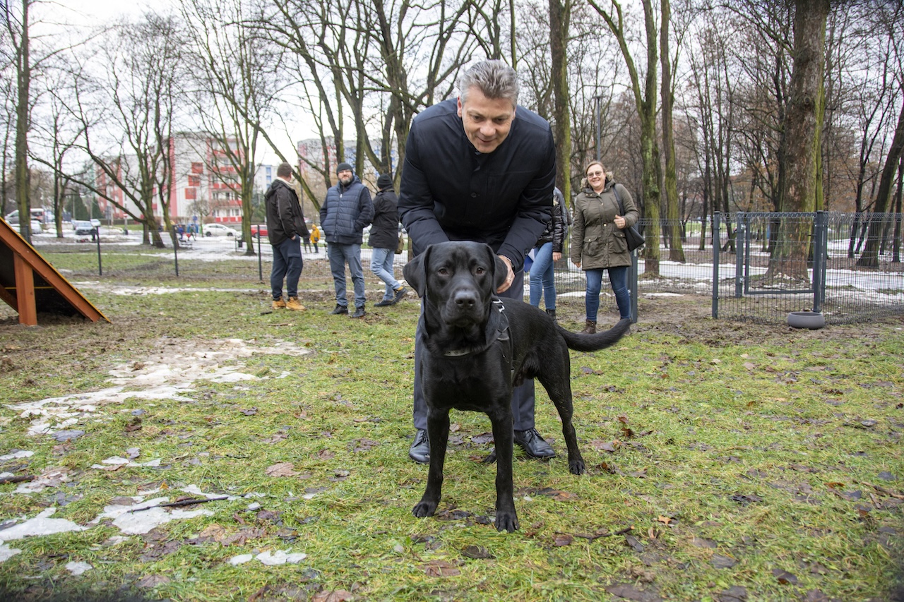 Bytom: Wybieg dla psów w Parku Miejskim im. F. Kachla już otwarty!
