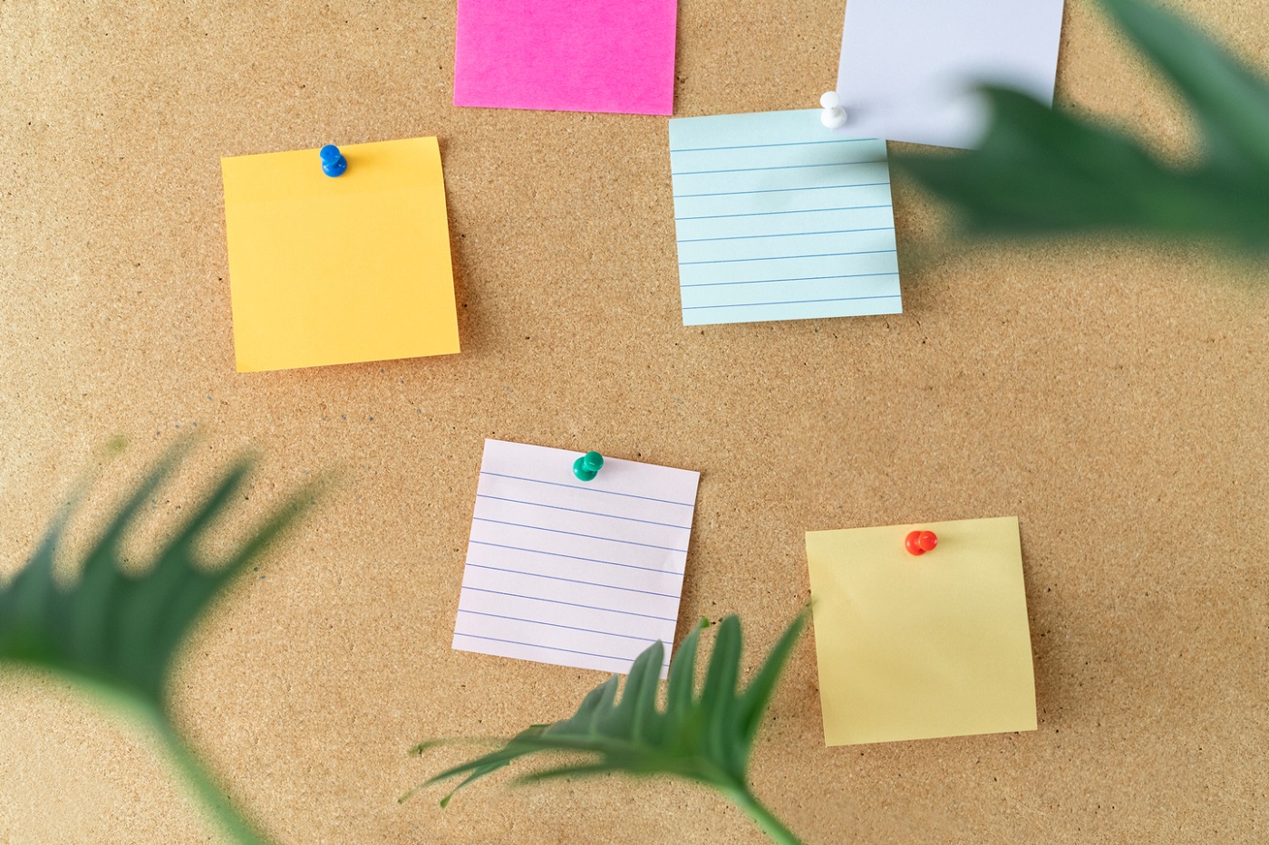 Lepsza organizacja w domu. Co może Ci pomóc?