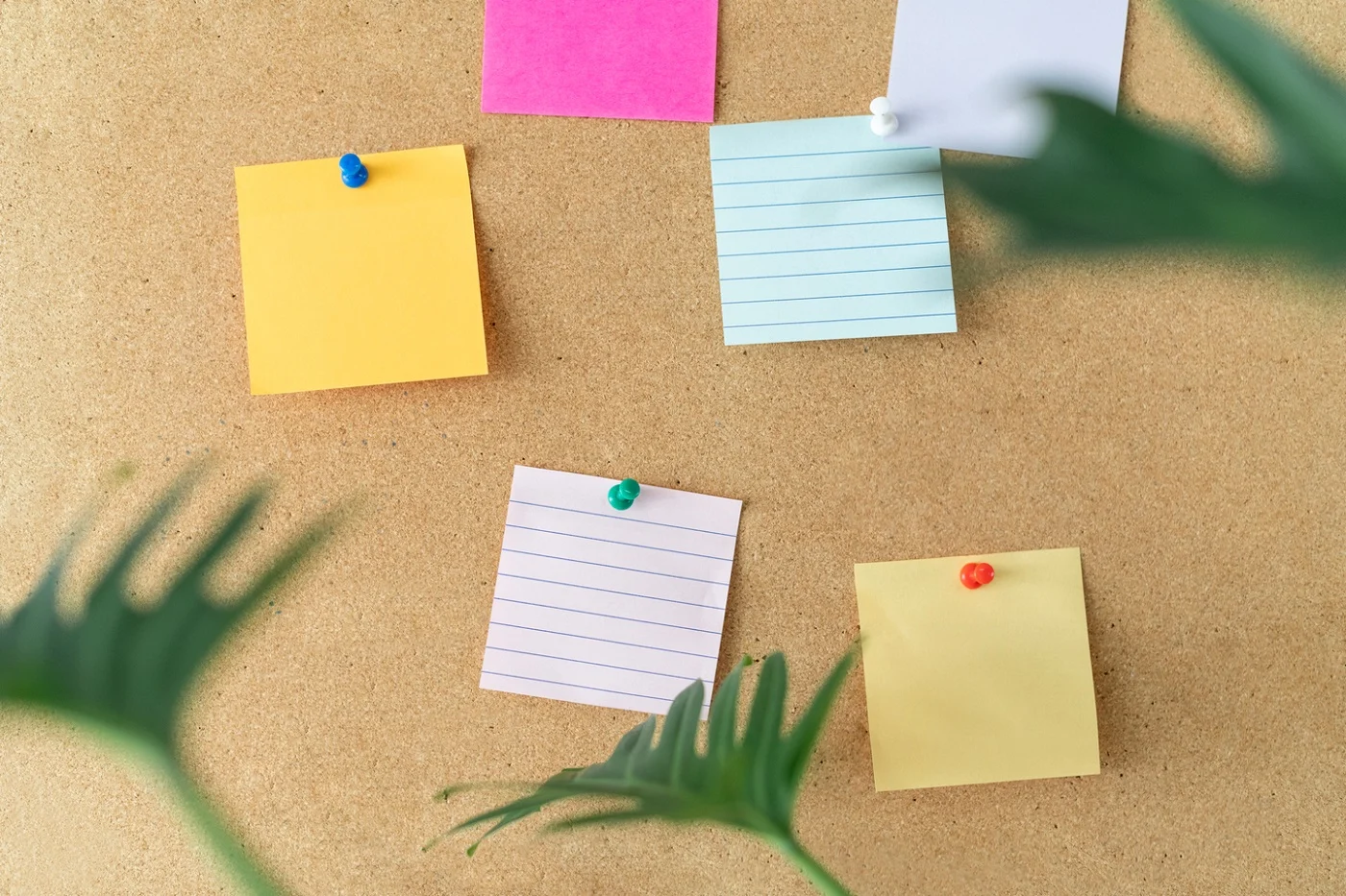 Lepsza organizacja w domu. Co może Ci pomóc?