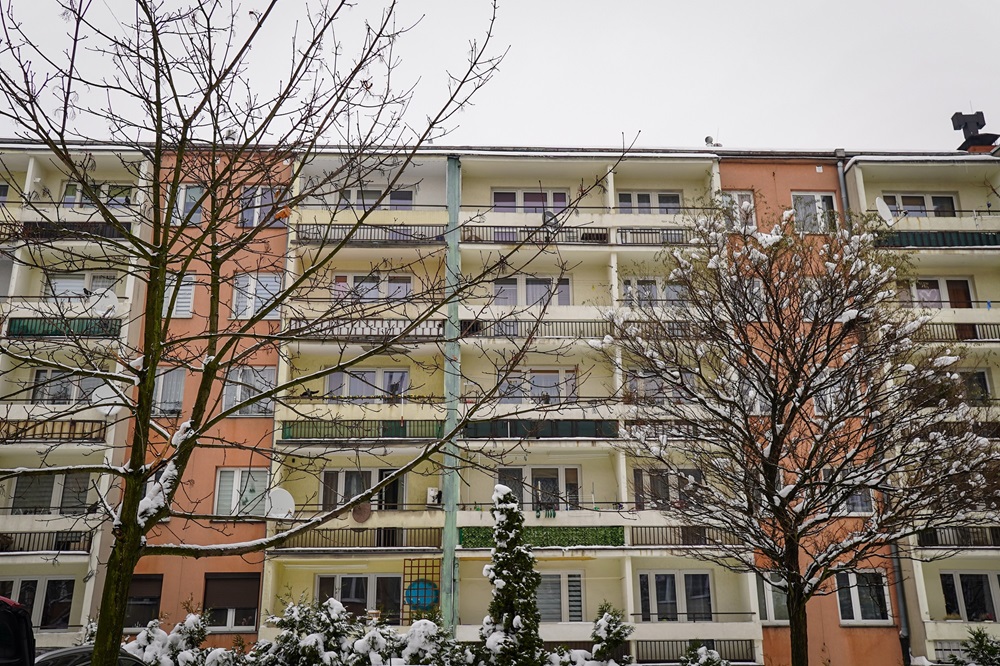 Nawet kilkanaście wniosków o wycinkę tygodniowo w ZZM