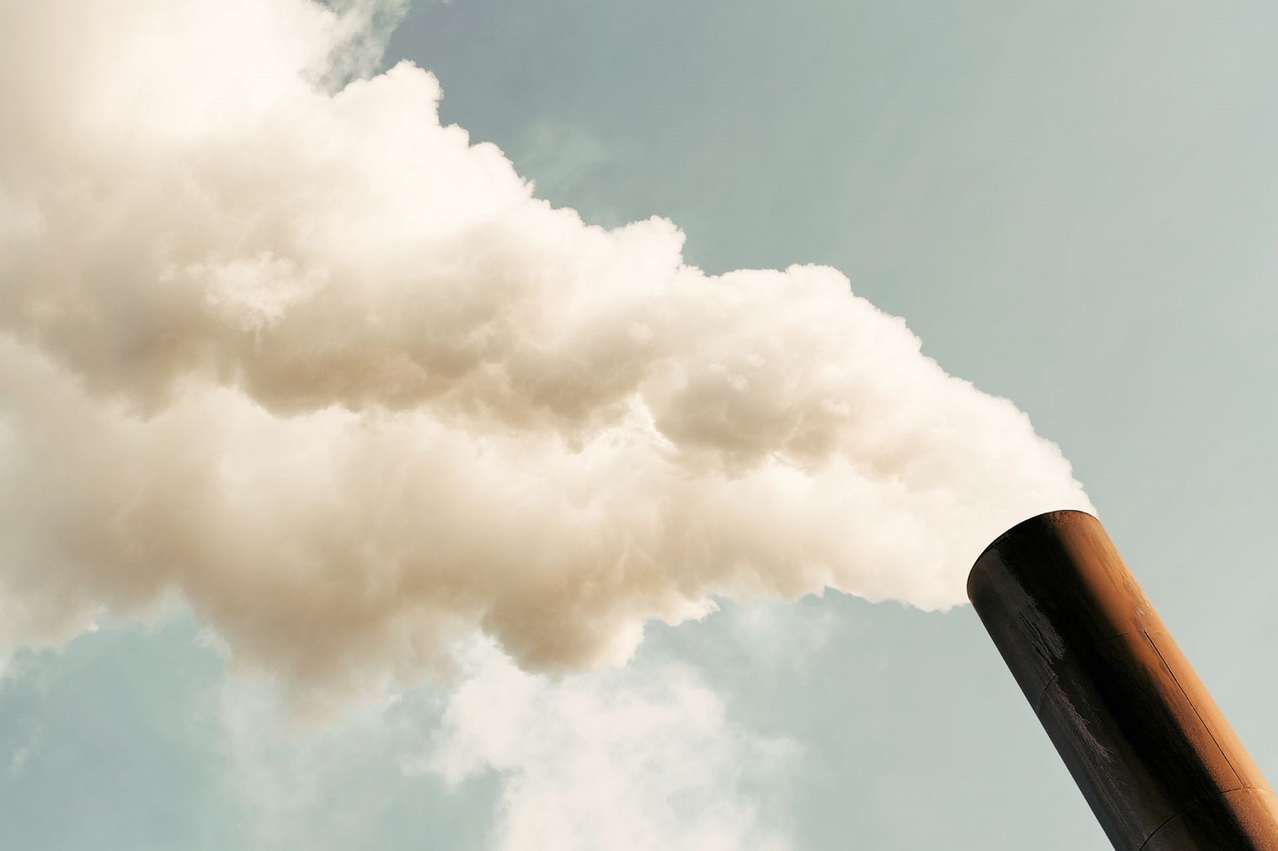 Biofiltry - rewolucyjna technologia w walce z zanieczyszczeniem powietrza