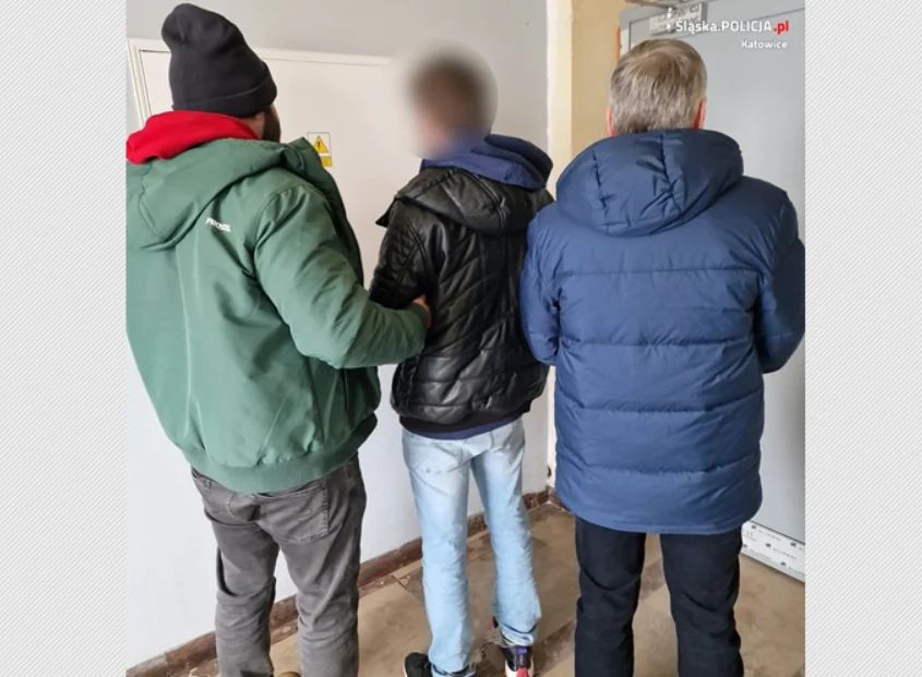 Policjanci zlikwidowali kolejną domową plantację marihuany w Katowicach