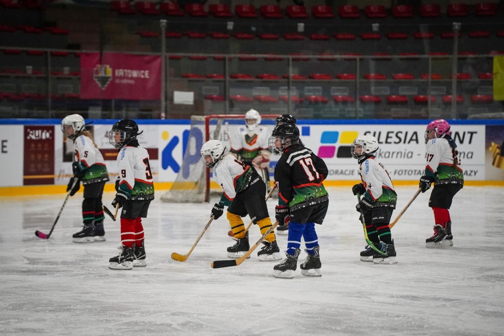 Charytatywny mecz hokeja w Katowicach. Spotkanie przedsiębiorców i artystów na lodowisku