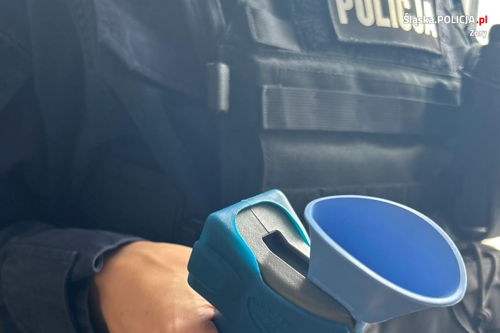 Policjanci prowadzili działania "Trzeźwość"