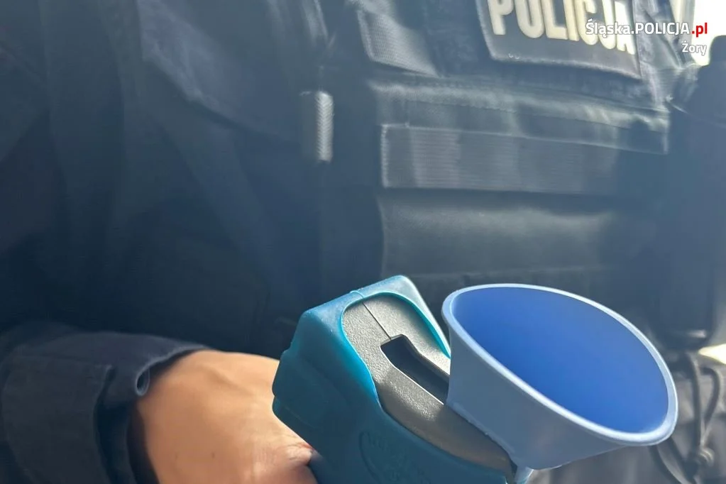 Policjanci prowadzili działania "Trzeźwość"