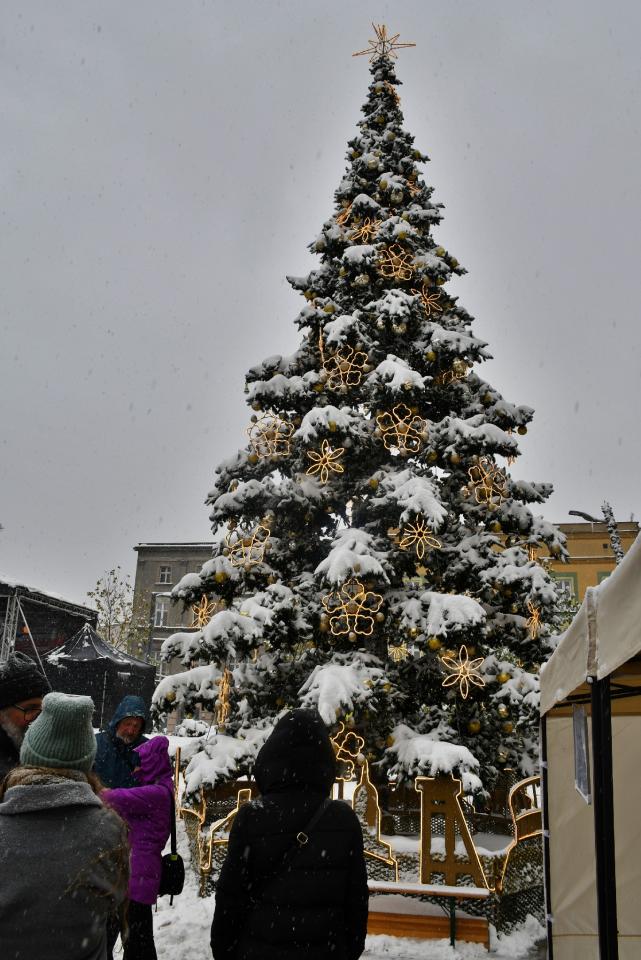 Ulicami Chorzowa przeszła Śląska Parada Mikołajów! / fot. Jacek D. Knapik 9