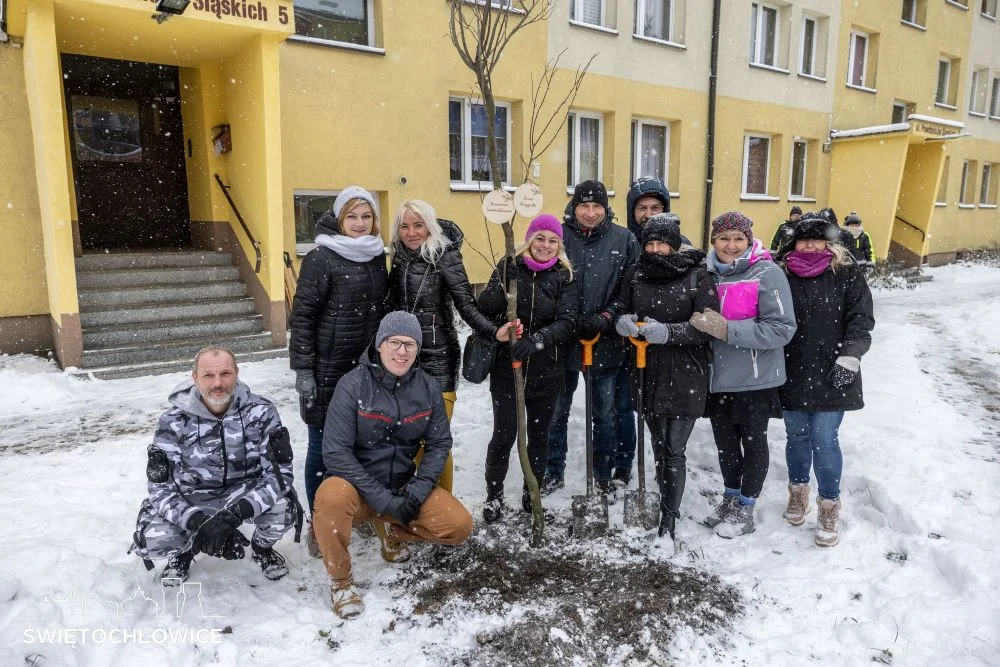 Stowarzyszenia i organizacje ze Świętochłowic zasadziły własne drzewka