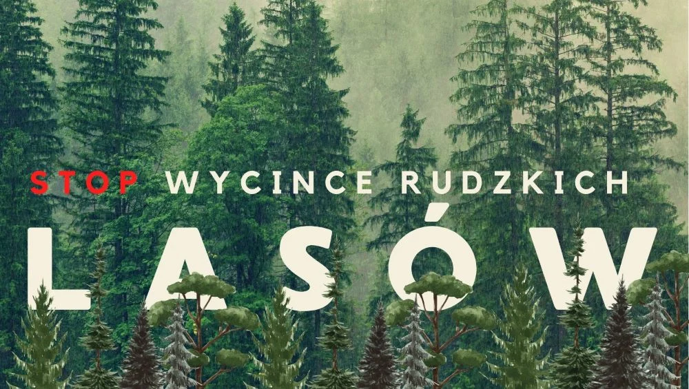 Podpisz petycję w obronie rudzkich lasów!