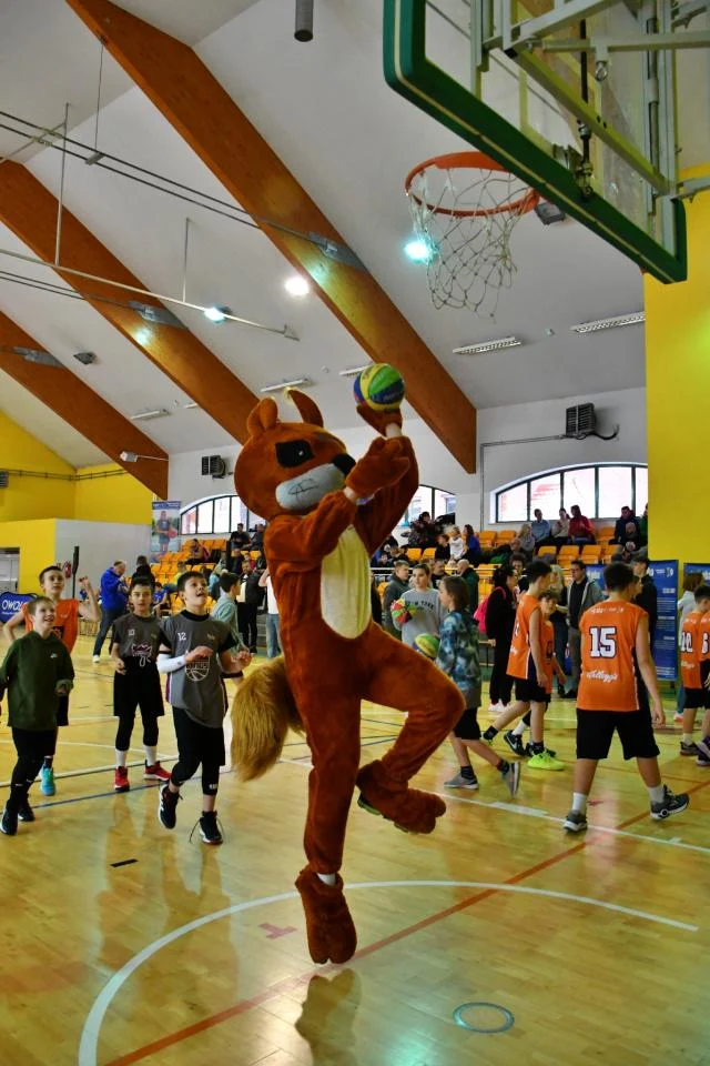 Jr. NBA Projekt Basket League 8