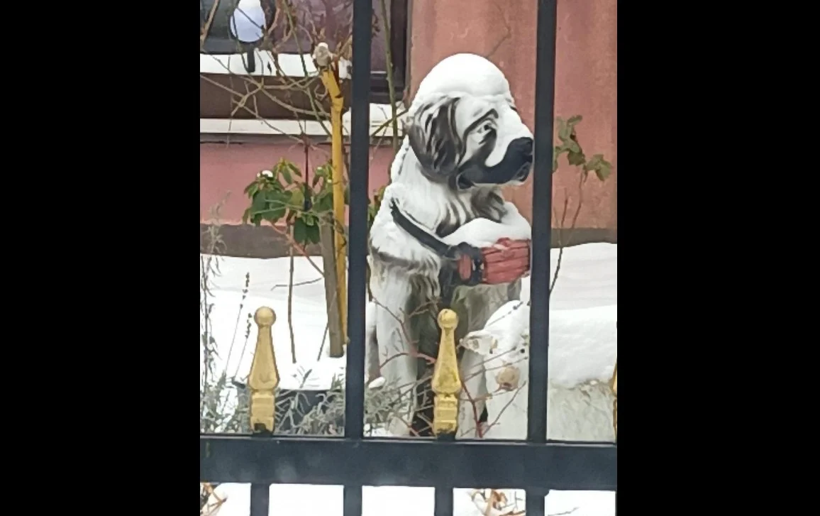 Osobliwa interwencja Fauny. Pracowników schroniska wezwano do figury ogrodowej