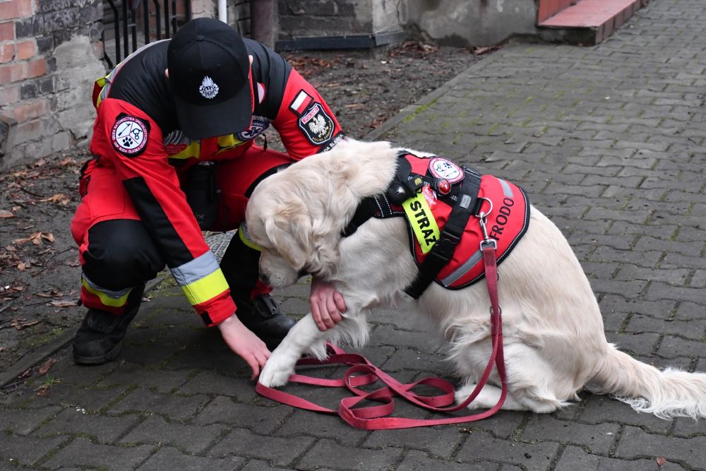 Podsumowanie WOŚP 42