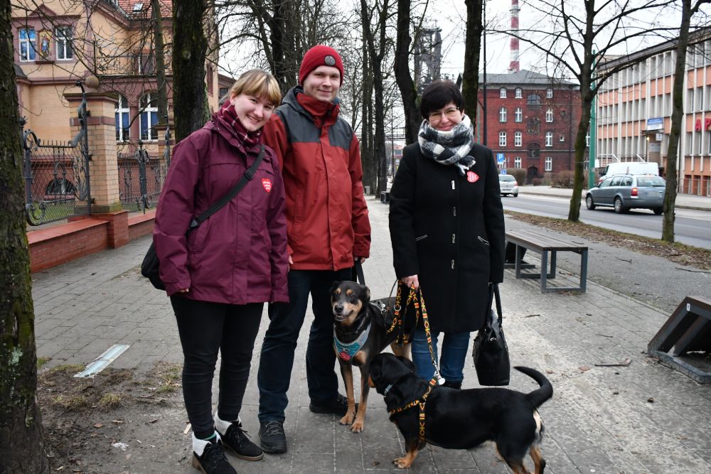 Podsumowanie WOŚP 94