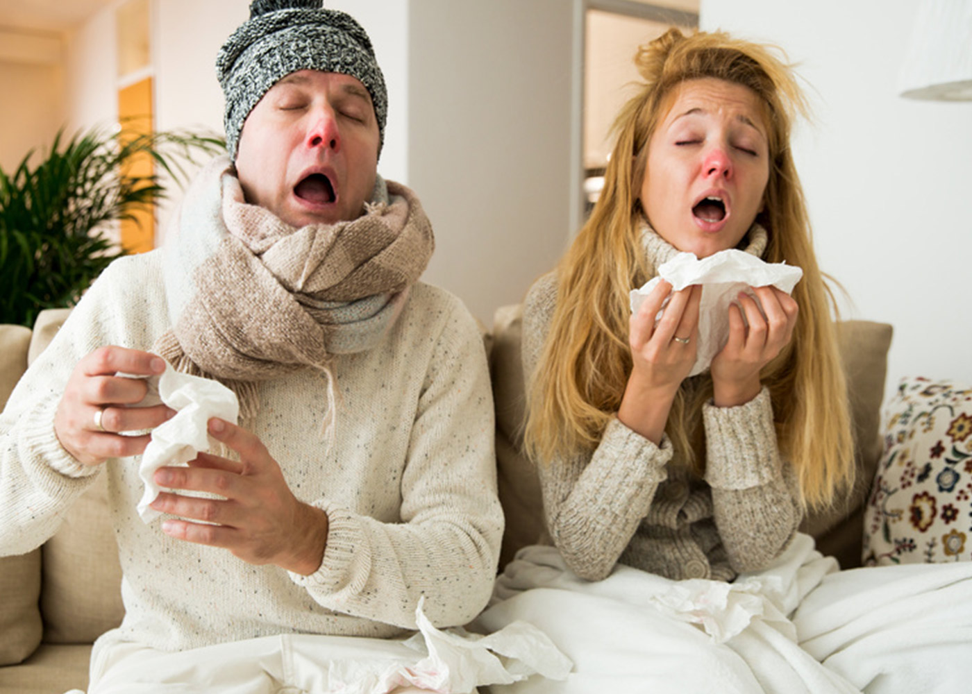 Zioła, które warto mieć w swojej apteczce