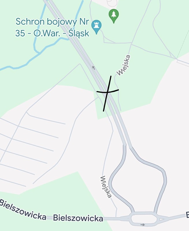 Swastyki oraz hasła propagujące nazizm wymalowane w przejściu pod trasą N-S