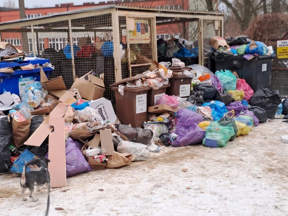 Tony śmieci na śmietnikach w Goduli. Gdzie leży problem?