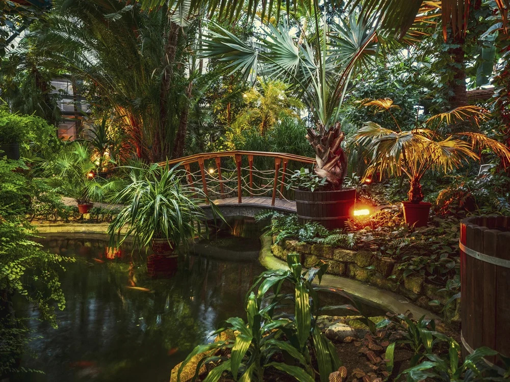 Rekordowa frekwencja w gliwickiej Palmiarni