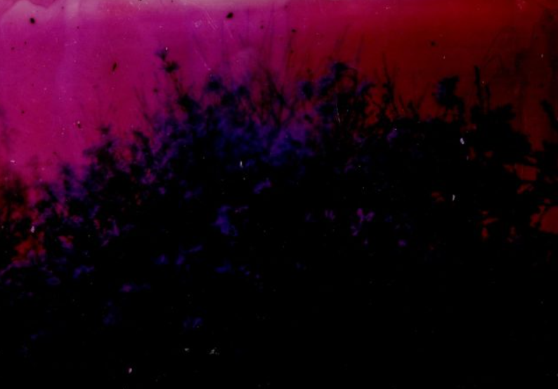 Wystawa fotografii Iwony Germanek i Krzysztofa Gołucha "Nie/Zapomnienie"