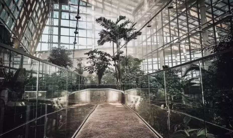 Gospodarcze Otwarcie Roku w sosnowieckim Egzotarium