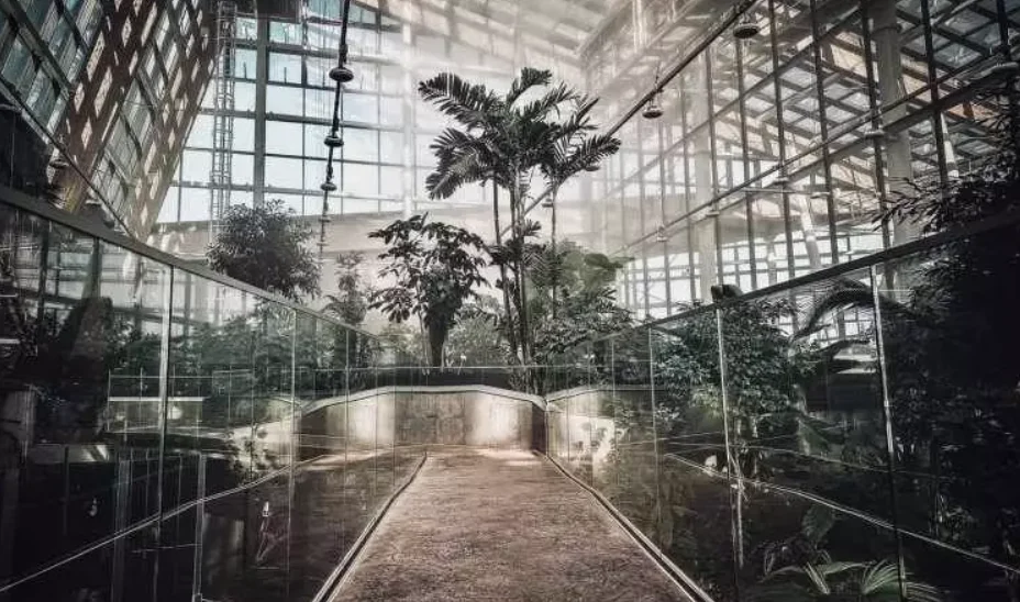 Gospodarcze Otwarcie Roku w sosnowieckim Egzotarium