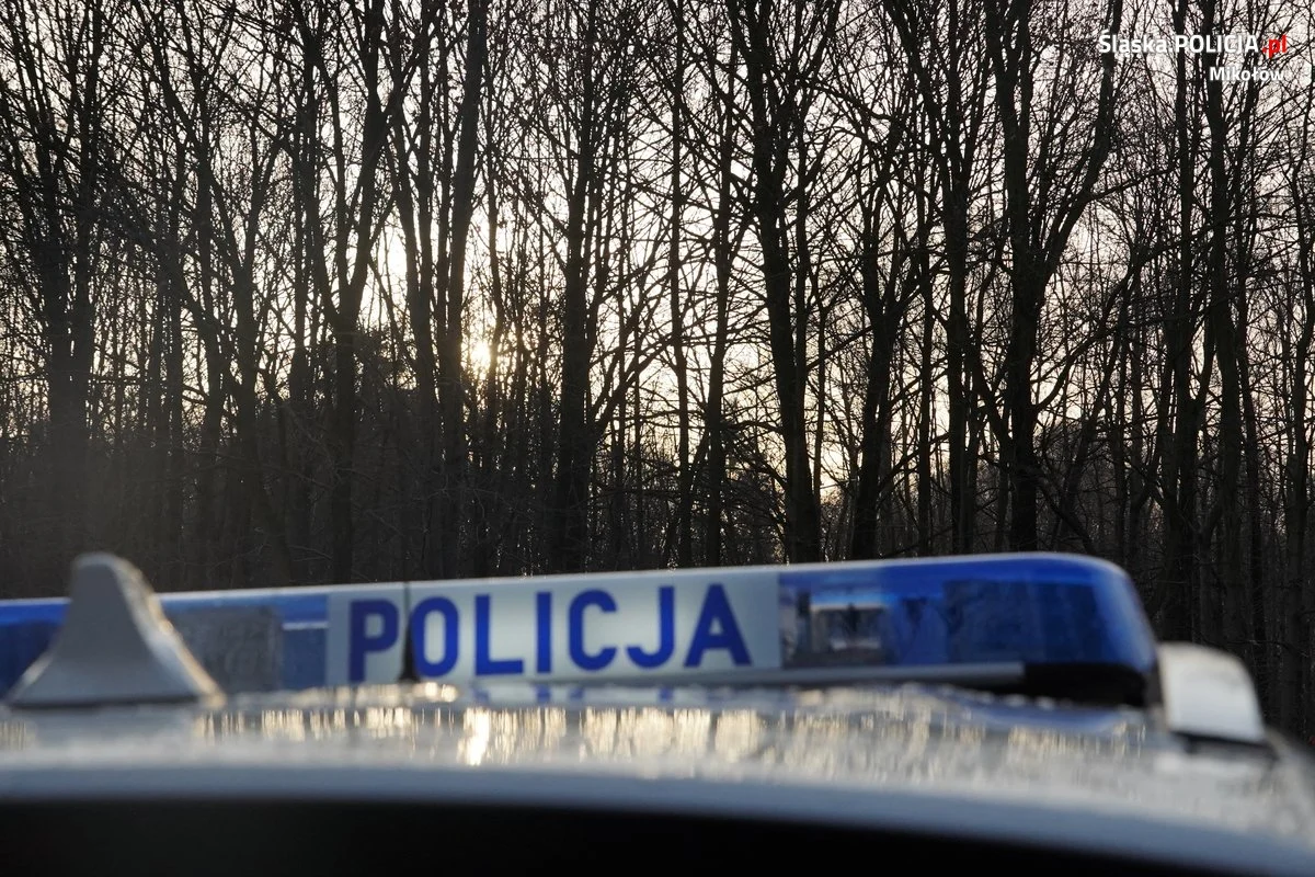 Mikołów: Awanturował się na stacji paliw i zaatakował policjantów!