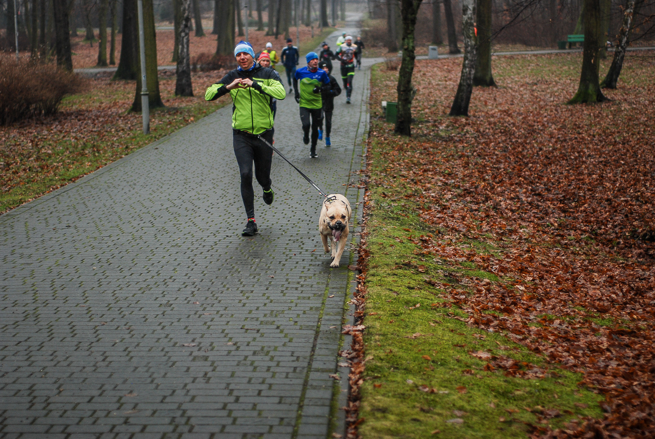 Parkrun Katowice edycja 336 42