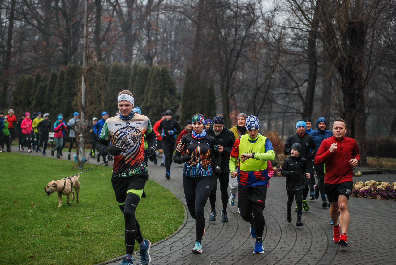 Parkrun Katowice edycja 336 49