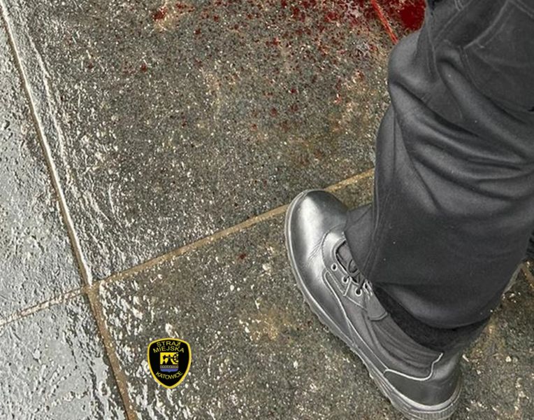 Katowickie strażniczki udzieliły pierwszej pomocy przedmedycznej