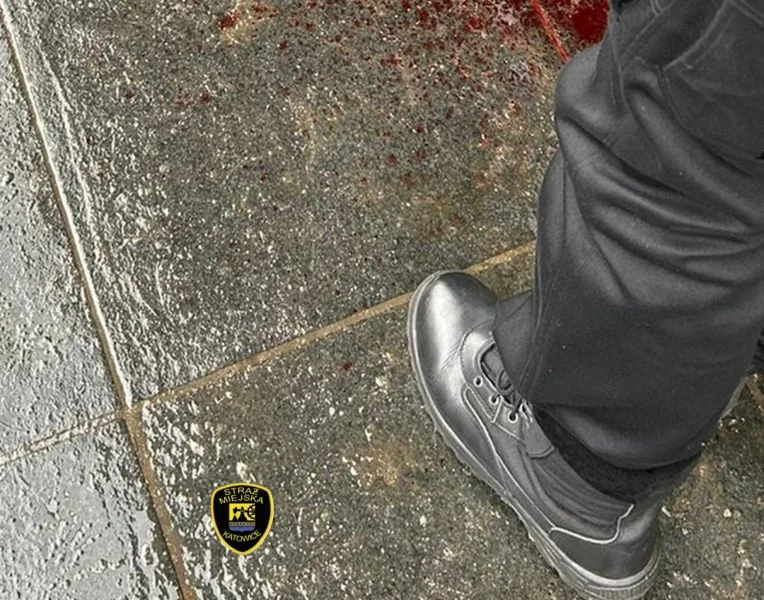 Katowickie strażniczki udzieliły pierwszej pomocy przedmedycznej